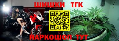 сатива Кингисепп