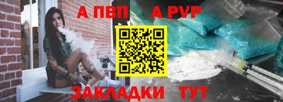 сатива Кингисепп