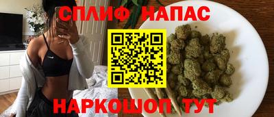 сатива Кингисепп